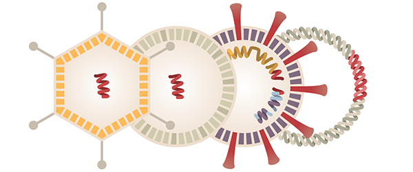 3 Vaccines are Now in Production
